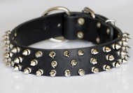 Spiked collars