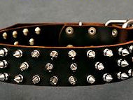 Spiked leather dog collar