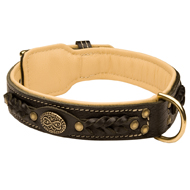 Royal Nappa Padded Hand Made Leather Dog Collar  Royal Nappa Padded Hand Made Leather Dog Collar