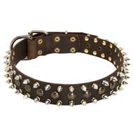 Fashion Leather Dog Collar Decorated with Spikes and Studs  Fashion Leather Dog Collar Decorated with Spikes and Studs