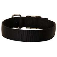 Wide Nylon Dog Collar For Everyday Walking and Training  Wide Nylon Dog Collar For Everyday Walking and Training
