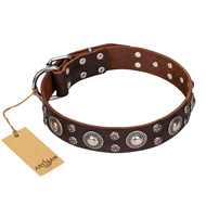 'Age of Beauty' FDT Artisan Incredible Studded Brown Leather Dog Collar  'Age of Beauty' FDT Artisan Incredible Studded Brown Leather Dog Collar