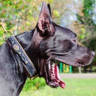 Royal Nappa Padded Leather Great Dane Collar with Braids  Royal Nappa Padded Leather Great Dane Collar with Braids