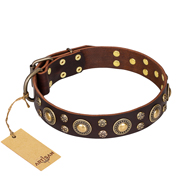 'Flower Melody' FDT Artisan Brown Leather Dog Collar with Mixed Studs for Daily Walking  'Flower Melody' FDT Artisan Brown Leather Dog Collar with Mixed Studs for Daily Walking