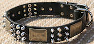 Custom Leather Dog Collar- old brass massive plates & 6 spikes Custom Leather Dog Collar- old brass massive plates & 6 spikes