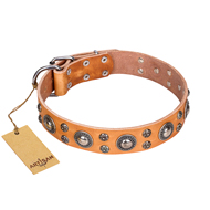 'Extra Sparkle' FDT Artisan Handcrafted Tan Leather Dog Collar  'Extra Sparkle' FDT Artisan Handcrafted Tan Leather Dog Collar