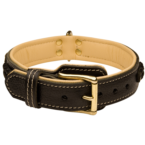 Walking Padded Leather Dog Collar with Strong Brass-Plated Buckle