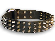 Leather dog collar with 3spikes+3 brass pyramids for All breeds Leather dog collar with 3spikes+3 brass pyramids for All breeds