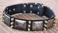 Gorgeous War Dog Leather Dog Collar - brass3 spike -massive plat Gorgeous War Dog Leather Dog Collar - brass3 spike -massive plat