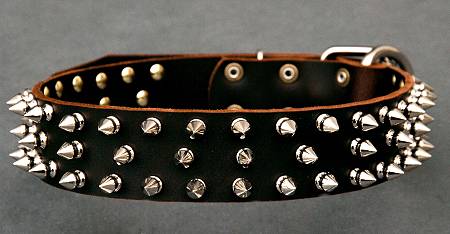 spiked dog collar for bulldog/boxer/bulldogge