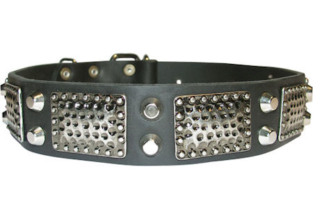 Personalized Dog Collar with Studs and Vintage Plates- C85+