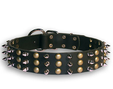 handmade spiked dog collar with studs for Shar Pei