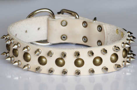 http://www.dog-collar-store.com/images/large/three-spiked-one-studded-leather-collar-dogs1_LRG.jpg