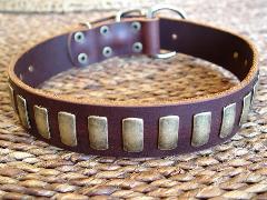 Cane corso dog collar