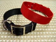 Nylon dog collars