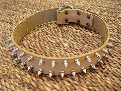 spiked dog collar for black russian terrier