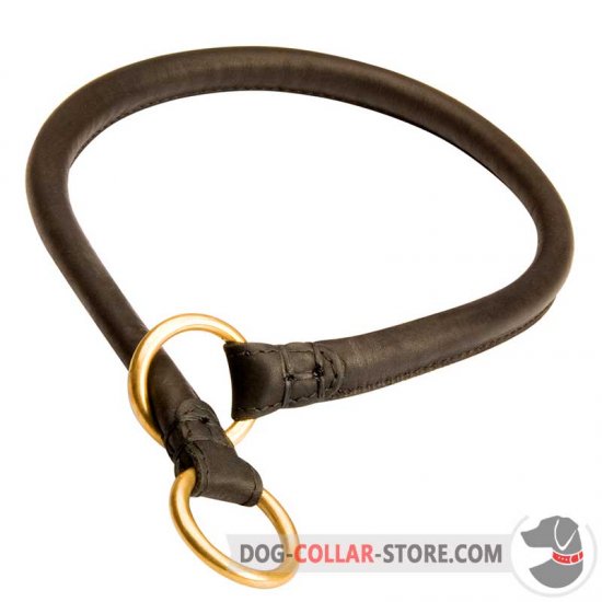 Leather dog shop choke collar