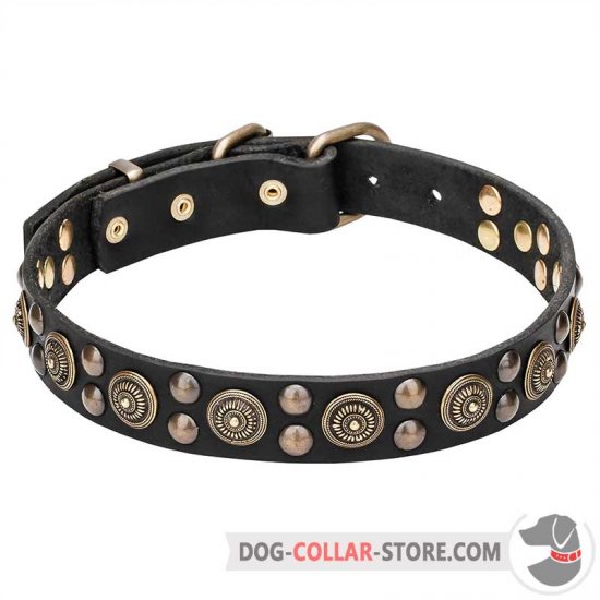 30 inch dog outlet collar