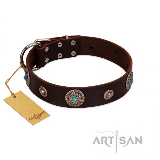 Leather dog collar outlet with turquoise stones