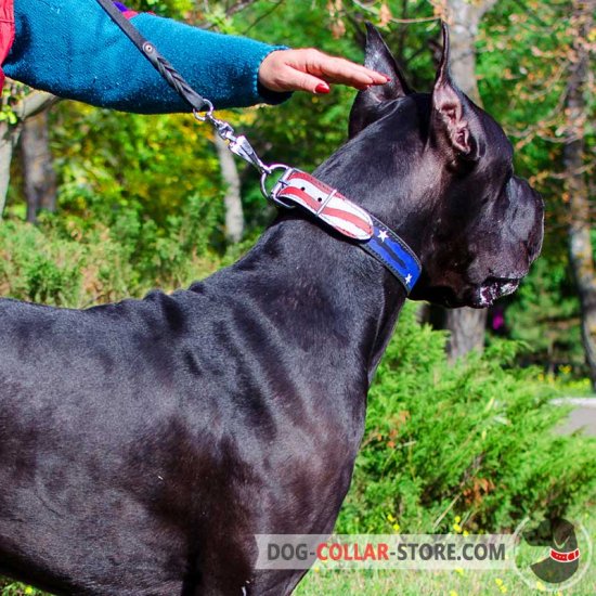 E collar 2024 for great dane