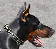 Doberman Pinscher Nappa Padded Hand Made Leather dog collar