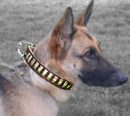 Gorgeous Wide Leather Dog Collar With Plates for shepherd