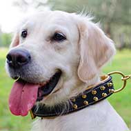 Soft Nappa Padded Labrador / Golden Retriever Collar with Braids (model sold OldMill-C43)