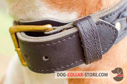 Heavy-Duty Brass-Plated Buckle on Everyday Leather Dog Collar