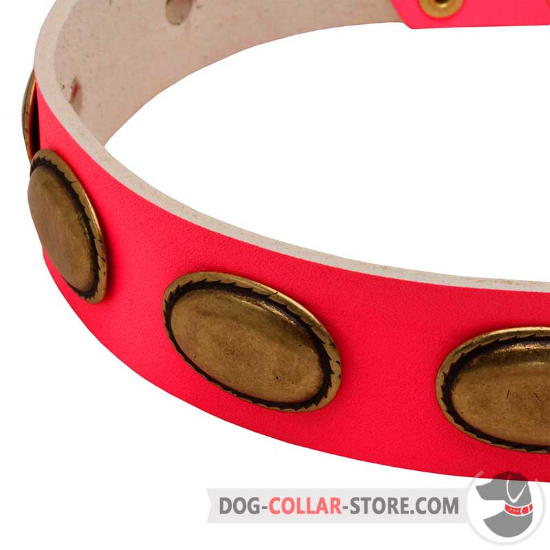 Concha Pink Leather Collar