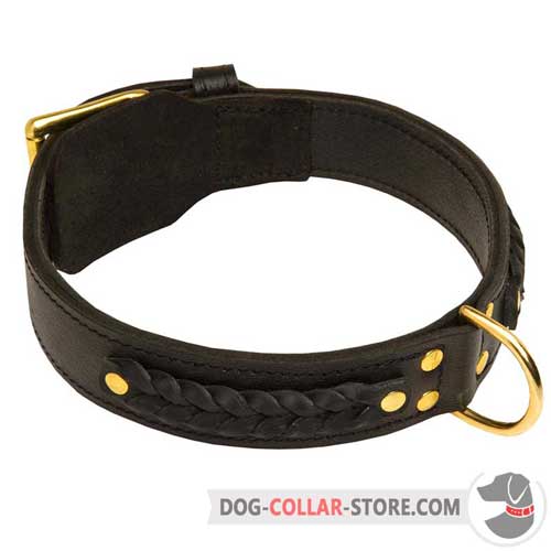 Hand Braided Leather Dog Collar for Stylish Walking