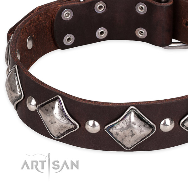 Quick to fasten leather dog collar with almost unbreakable chrome plated fittings