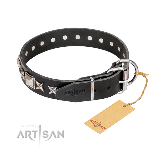 Daily walking full grain leather collar with embellishments for your canine