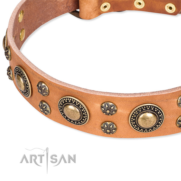 Leather dog collar with exceptional embellishments