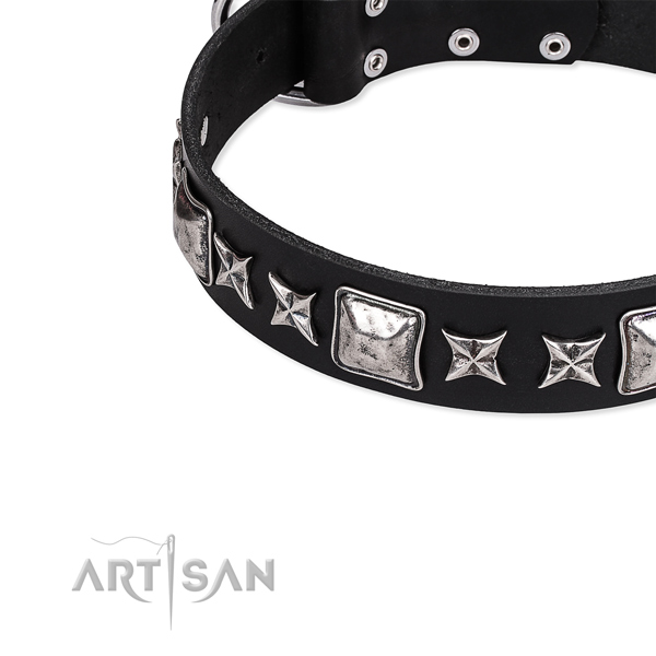 Full grain leather dog collar with adornments for handy use