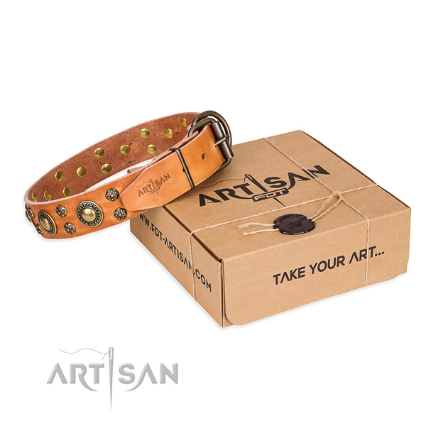 Full grain natural leather dog collar with studs for everyday use