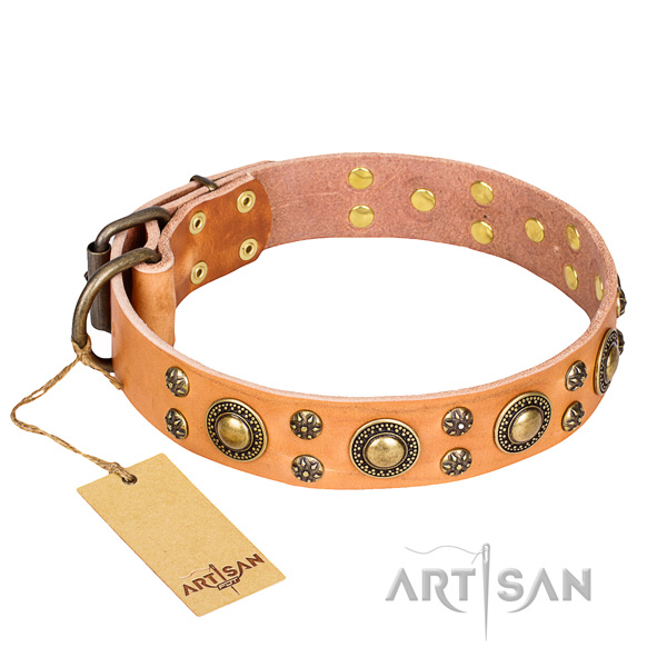 Stunning full grain genuine leather dog collar for walking