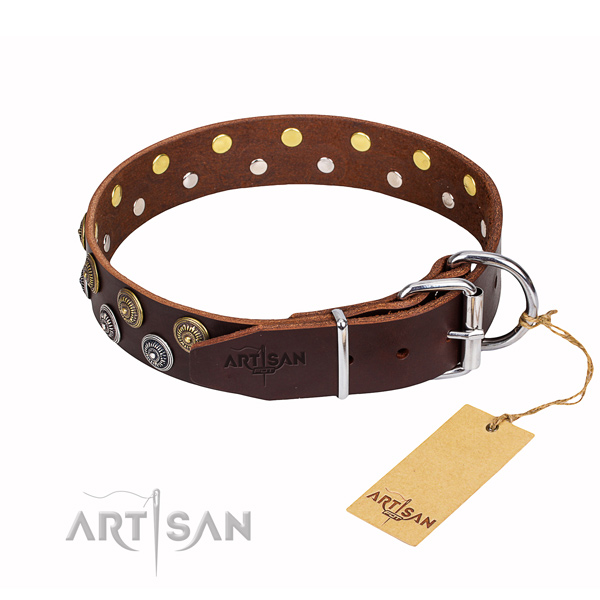 Everyday walking full grain genuine leather collar with adornments for your canine
