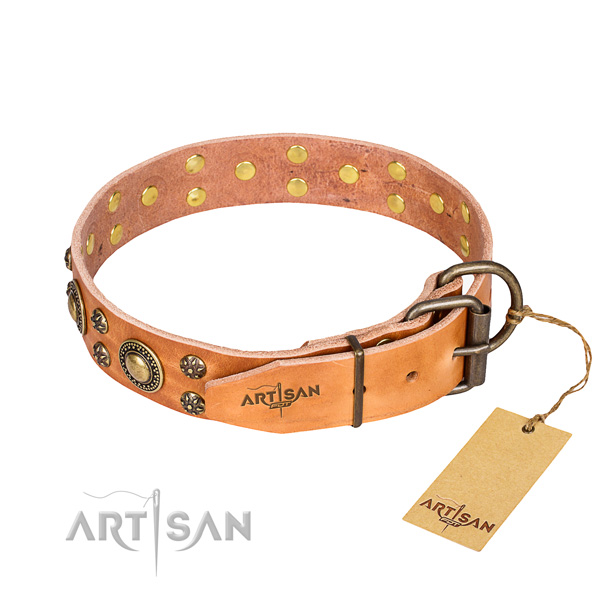 Everyday use full grain genuine leather collar with embellishments for your doggie