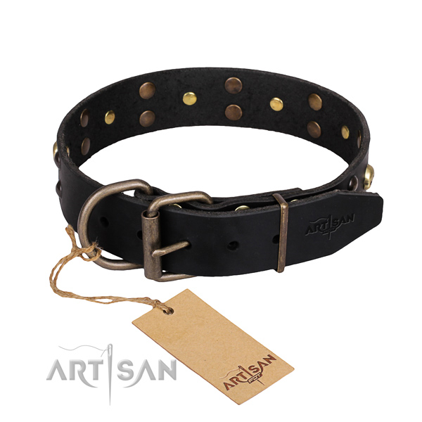 Everyday leather dog collar with exceptional decorations