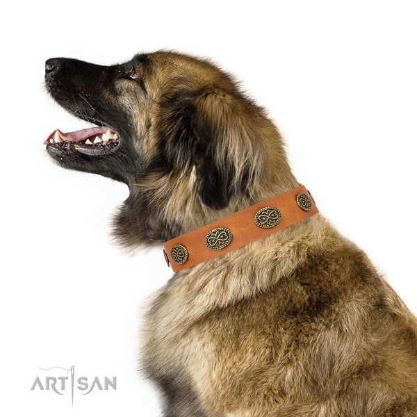 Top notch embellishments on comfortable wearing genuine leather dog collar