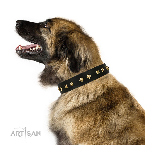 Designer decorations on handy use genuine leather dog collar