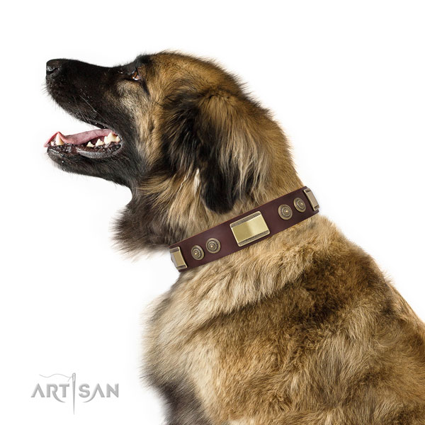 Stylish design decorations on handy use dog collar