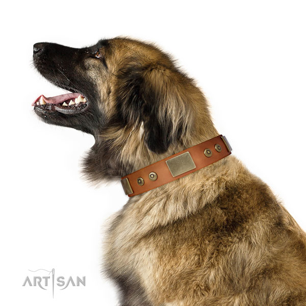 Quality comfortable wearing dog collar of genuine leather