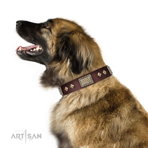 Best quality basic training dog collar of genuine leather