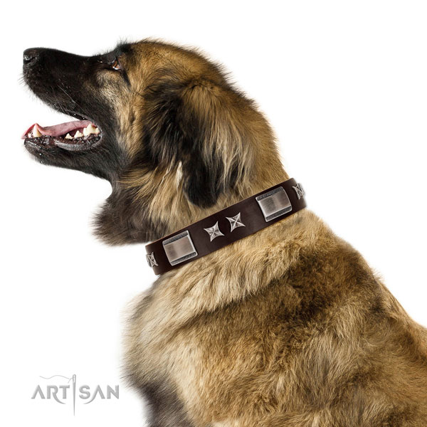 Stylish collar of full grain natural leather for your stylish four-legged friend