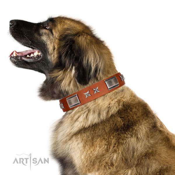 Comfortable wearing quality leather dog collar with embellishments