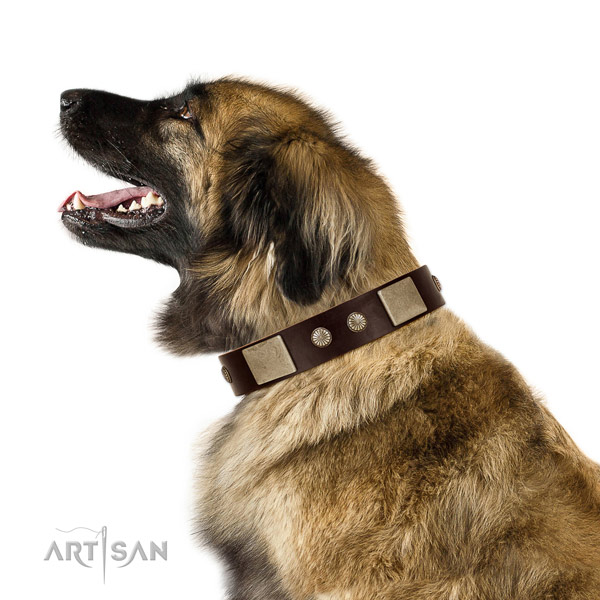 Rust-proof D-ring on genuine leather dog collar for daily use