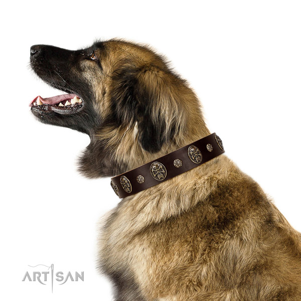 Basic training dog collar of leather with impressive decorations