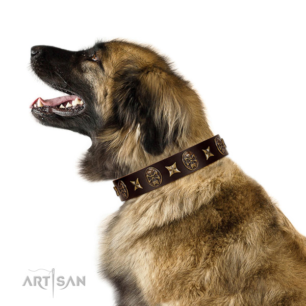 Adjustable full grain natural leather dog collar with adornments
