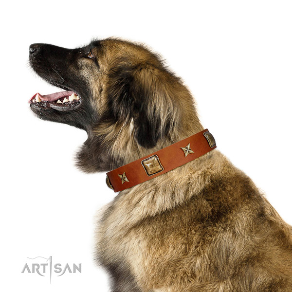 Handmade full grain genuine leather dog collar with adornments